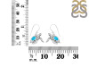 Turquoise Turtle Earring TRQ-RUE-42.