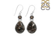 Turritella Earring-2E TTL-3-36