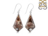 Wild Horse Jasper Earring-E WOJ-3-10
