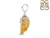 Amber Pendant-SP AMB-1-101