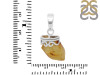 Amber Pendant-SP AMB-1-108