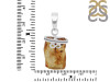 Amber Pendant-SP AMB-1-110