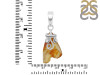 Amber Pendant-SP AMB-1-111