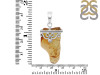 Amber Pendant-SP AMB-1-112
