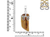 Amber Pendant-SP AMB-1-113