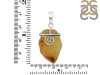 Amber Pendant-SP AMB-1-116
