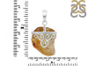 Amber Pendant-SP AMB-1-151