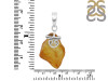 Amber Pendant-SP AMB-1-152