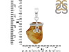 Amber Pendant-SP AMB-1-161