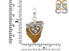Amber Pendant-SP AMB-1-168