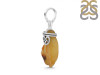 Amber Pendant-SP AMB-1-188