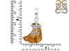 Amber Pendant-SP AMB-1-193