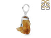 Amber Pendant-SP AMB-1-193