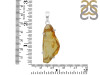 Amber Pendant-SP AMB-1-210