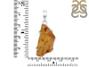 Amber Pendant-SP AMB-1-211