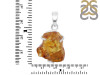 Amber Pendant-SP AMB-1-212