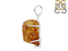 Amber Pendant-SP AMB-1-212