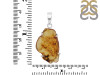Amber Pendant-SP AMB-1-213