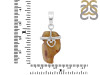 Amber Pendant-SP AMB-1-22
