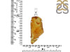 Amber Pendant-SP AMB-1-220