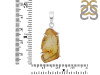 Amber Pendant-SP AMB-1-221