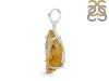 Amber Pendant-SP AMB-1-221