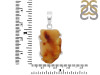 Amber Pendant-SP AMB-1-226