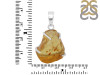 Amber Pendant-SP AMB-1-228