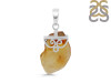 Amber Pendant-SP AMB-1-23