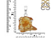Amber Pendant-SP AMB-1-231