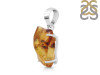 Amber Pendant-SP AMB-1-233