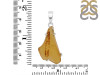 Amber Pendant-SP AMB-1-235
