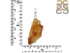 Amber Pendant-SP AMB-1-236