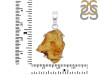 Amber Pendant-SP AMB-1-238