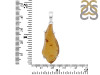 Amber Pendant-SP AMB-1-239