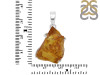 Amber Pendant-SP AMB-1-241