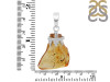 Amber Pendant-SP AMB-1-34