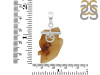 Amber Pendant-SP AMB-1-36