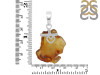 Amber Pendant-SP AMB-1-39