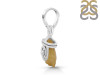 Amber Pendant-SP AMB-1-48