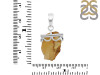 Amber Pendant-SP AMB-1-63