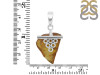 Amber Pendant-SP AMB-1-70