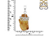 Amber Pendant-SP AMB-1-85
