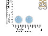 Aquamarine Stud Earring AQM-RDE-1375.