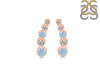 Aquamarine & White Topaz Stud Earring AQM-RDE-1472.