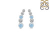 Aquamarine & White Topaz Stud Earring AQM-RDE-1472.