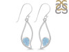 Aquamarine Earring AQM-RDE-263.