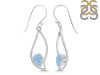 Aquamarine Earring AQM-RDE-263.