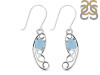 Aquamarine Earring AQM-RDE-46.