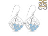 Aquamarine Earring AQM-RDE-48.